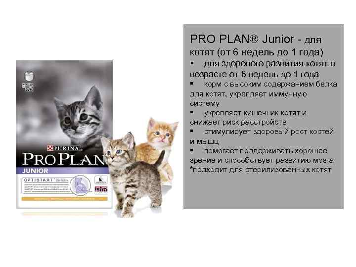PRO PLAN® Junior - для котят (от 6 недель до 1 года) § для