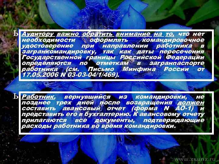 ь Аудитору важно обратить внимание на то, что нет необходимости оформлять командировочное удостоверение при