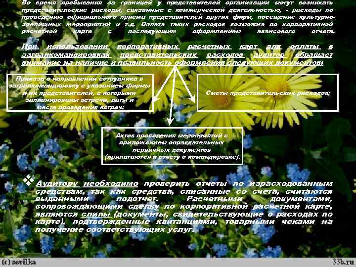 Во время пребывания за границей у представителей организации могут возникать представительские расходы, связанные с