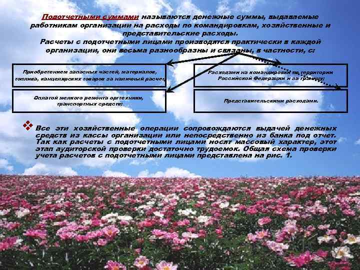 Подотчетными суммами называются денежные суммы, выдаваемые работникам организации на расходы по командировкам, хозяйственные и
