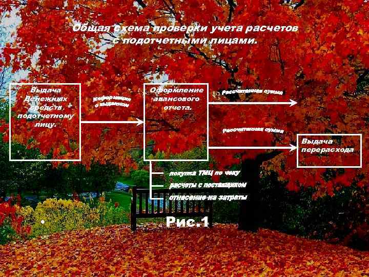 Общая схема проверки учета расчетов с подотчетными лицами. Выдача Денежных средств подотчетному лицу. Оформление
