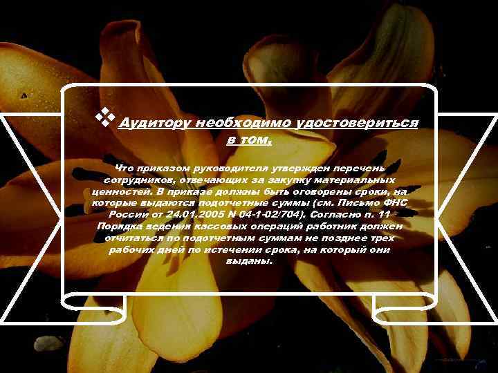 v. Аудитору необходимо удостовериться в том, Что приказом руководителя утвержден перечень сотрудников, отвечающих за