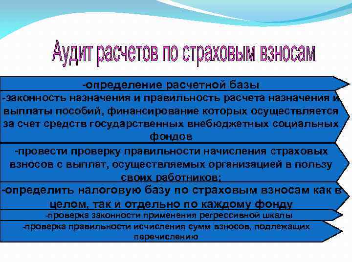-определение расчетной базы -законность назначения и правильность расчета назначения и выплаты пособий, финансирование которых