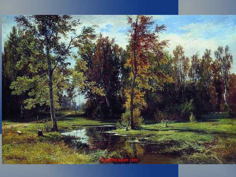 Берёзовый лес 