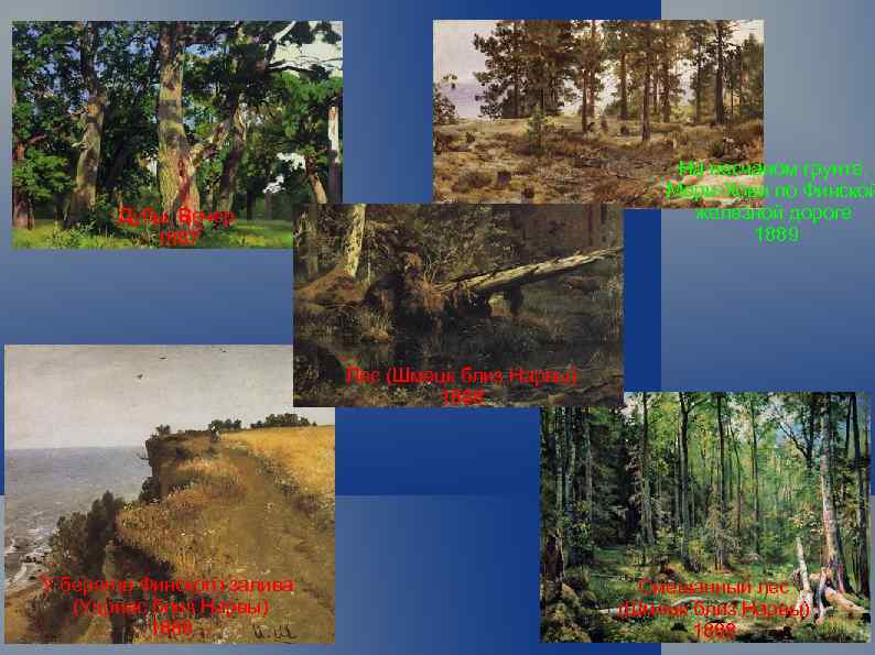 На песчаном грунте. Мери-Хови по Финской железной дороге 1889 Дубы. Вечер 1887 Лес (Шмецк