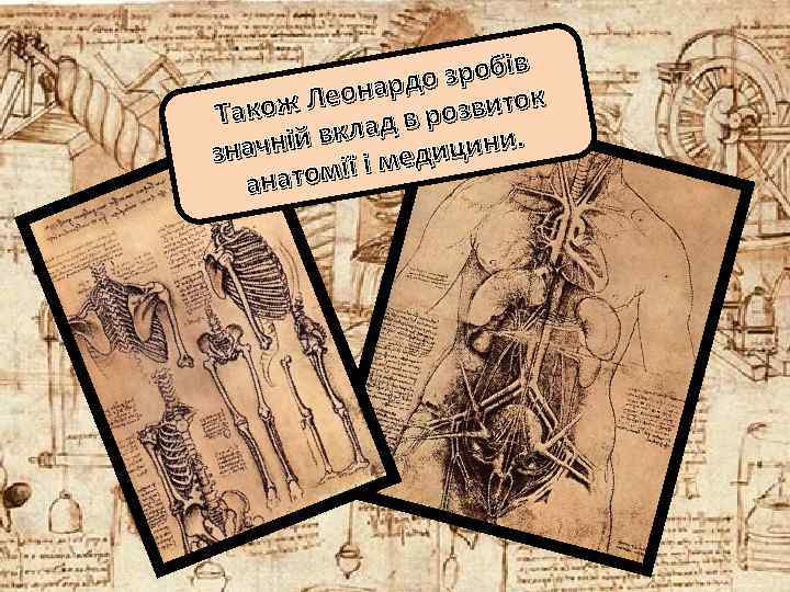 робів з нардо иток ож Лео в розв Так й вклад ицини. значні ії