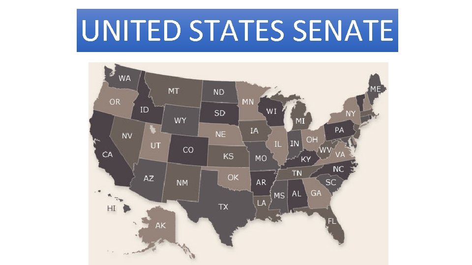 UNITED STATES SENATE 