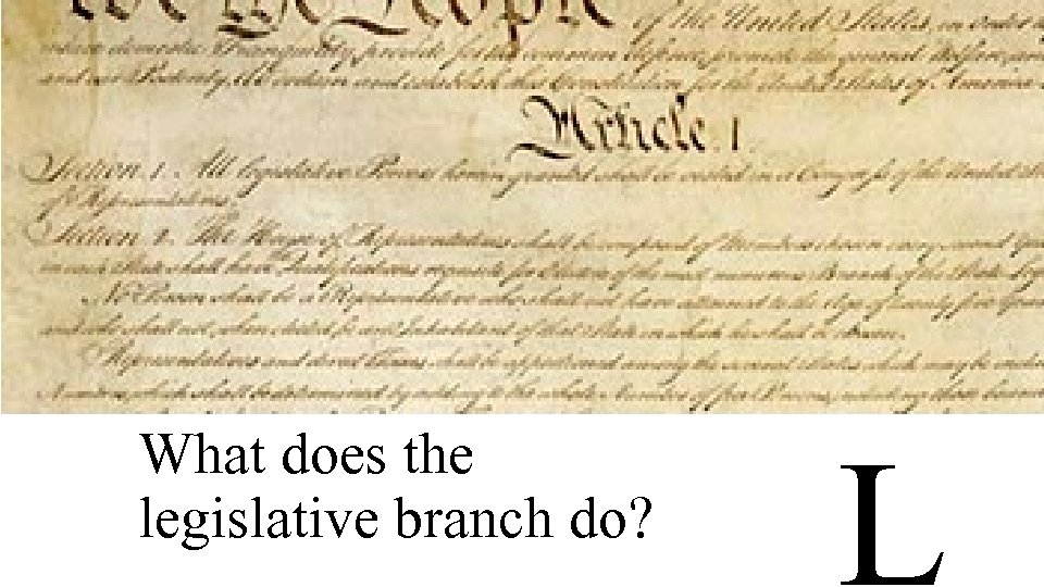 What does the legislative branch do? L 