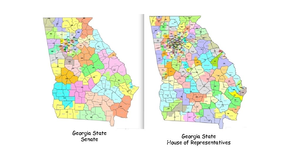 Georgia State Senate Georgia State House of Representatives 