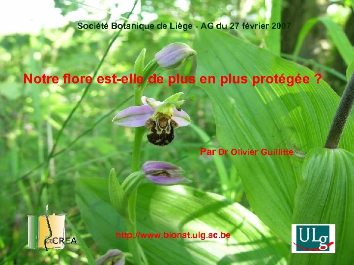 Société Botanique de Liège - AG du 27 février 2007 Notre flore est-elle de