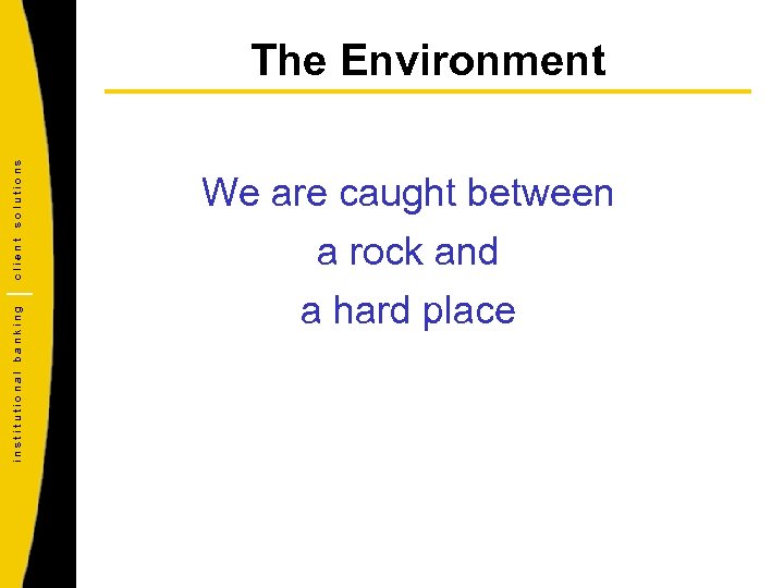 institutional banking client solutions The Environment We are caught between a rock and a