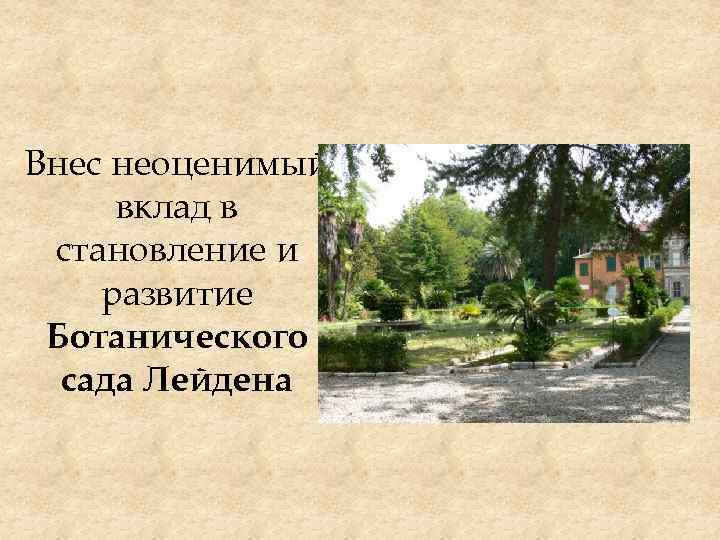 Внес неоценимый вклад в становление и развитие Ботанического сада Лейдена 