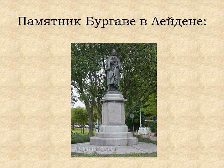 Памятник Бургаве в Лейдене: 