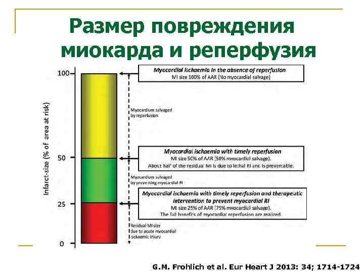 Размер повреждения миокарда и реперфузия G. M. Frohlich et al. Eur Heart J 2013: