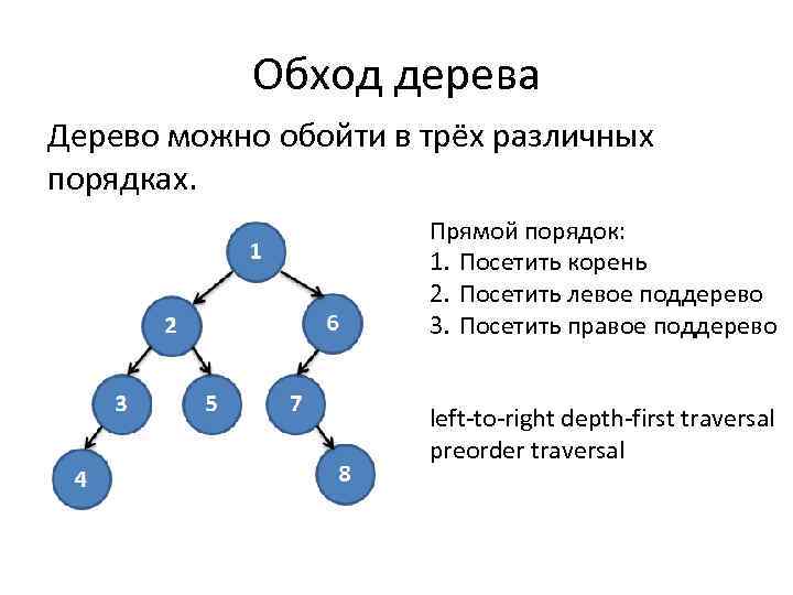 Обход дерева Дерево можно обойти в трёх различных порядках. Прямой порядок: 1. Посетить корень