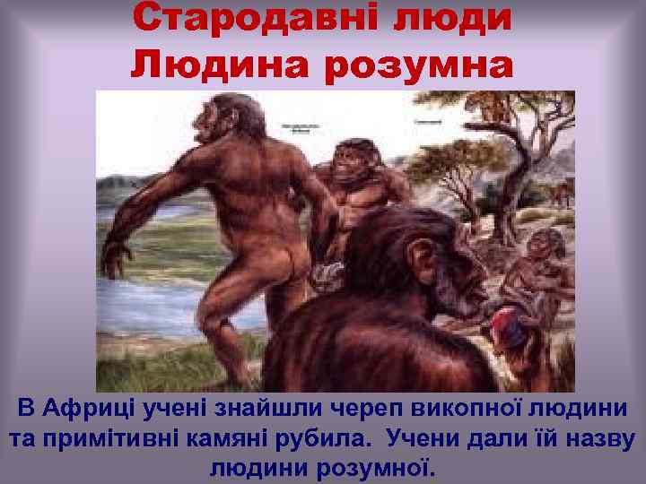 Стародавні люди Людина розумна В Африці учені знайшли череп викопної людини та примітивні камяні