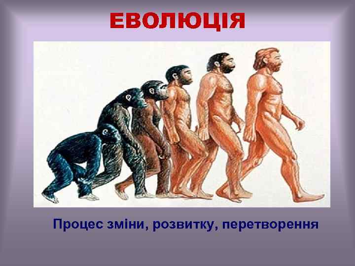 ЕВОЛЮЦІЯ Процес зміни, розвитку, перетворення 