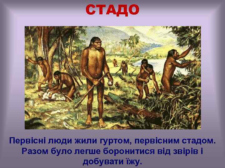 СТАДО Первісні люди жили гуртом, первісним стадом. Разом було легше боронитися від звірів і