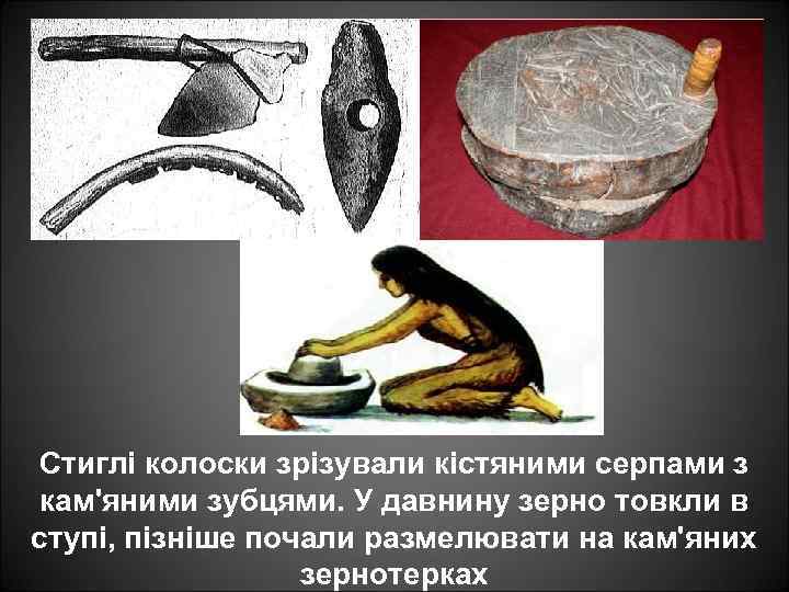 Стиглі колоски зрізували кістяними серпами з кам'яними зубцями. У давнину зерно товкли в ступі,