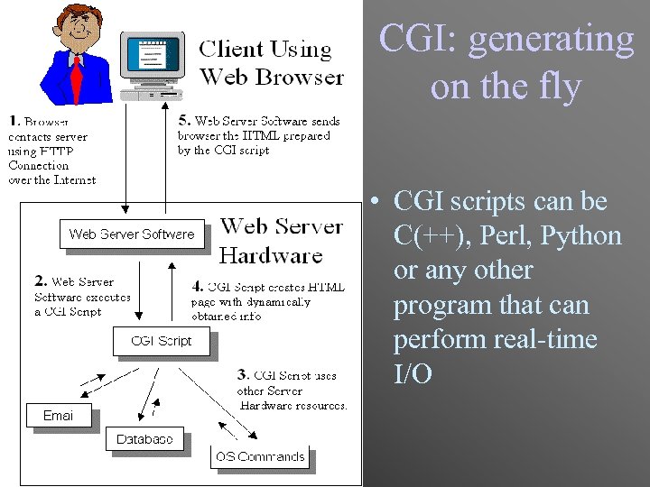 CGI: generating on the fly • CGI scripts can be C(++), Perl, Python or