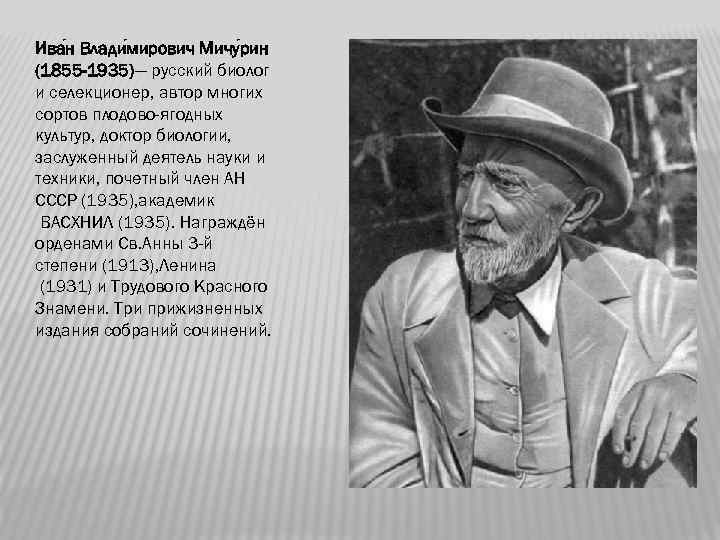 Ива н Влади мирович Мичу рин (1855 -1935)— русский биолог и селекционер, автор многих