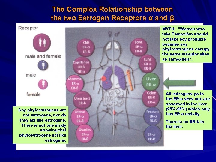 The Complex Relationship between the two Estrogen Receptors α and β MYTH: “Women who