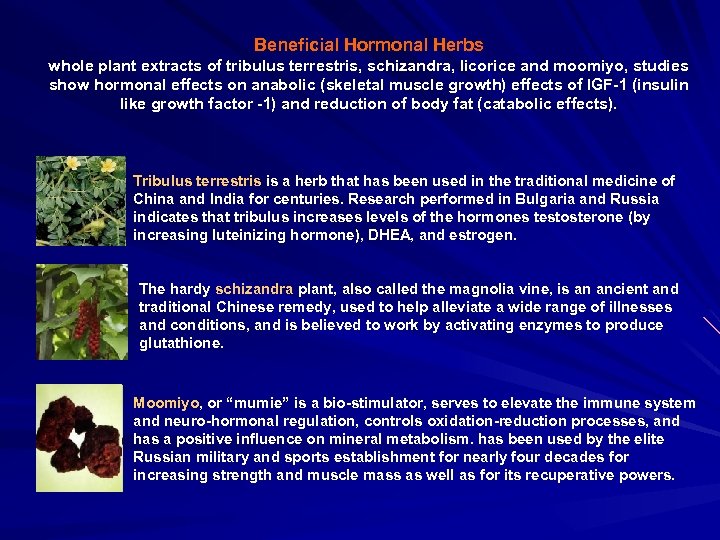 Beneficial Hormonal Herbs whole plant extracts of tribulus terrestris, schizandra, licorice and moomiyo, studies