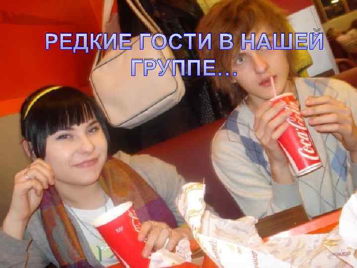 РЕДКИЕ ГОСТИ В НАШЕЙ ГРУППЕ… 