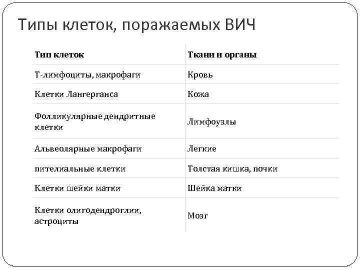 Типы клеток, поражаемых ВИЧ Тип клеток Ткани и органы Т-лимфоциты, макрофаги Кровь Клетки Лангерганса