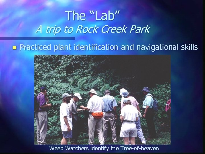 The “Lab” A trip to Rock Creek Park n Practiced plant identification and navigational