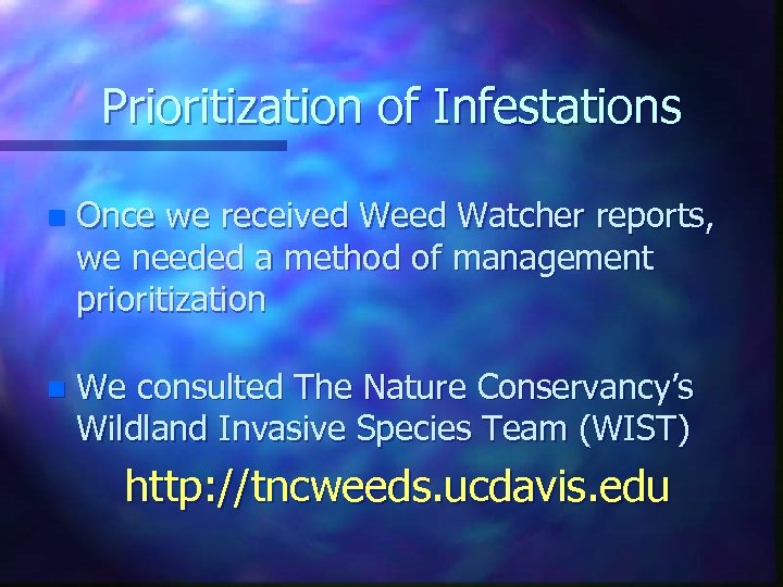 Prioritization of Infestations n Once we received Weed Watcher reports, we needed a method