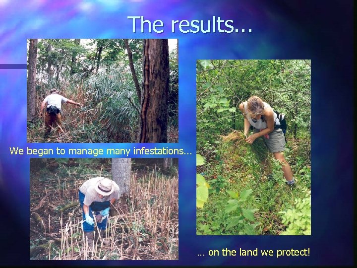 The results. . . We began to manage many infestations. . . … on