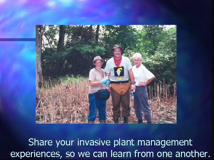Share your invasive plant management experiences, so we can learn from one another. 
