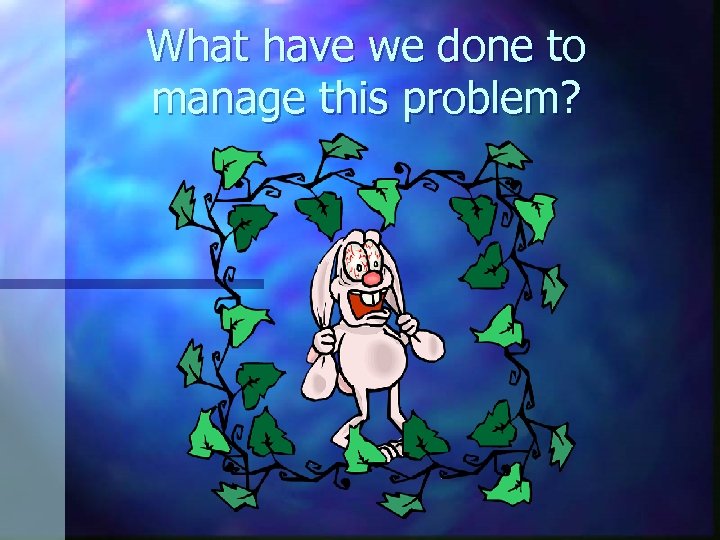 What have we done to manage this problem? 