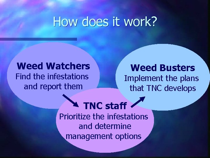 How does it work? Weed Watchers Find the infestations and report them Weed Busters