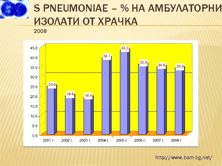 S PNEUMONIAE – % НА АМБУЛАТОРНИ ИЗОЛАТИ ОТ ХРАЧКА 2008 http: //www. bam-bg. net/