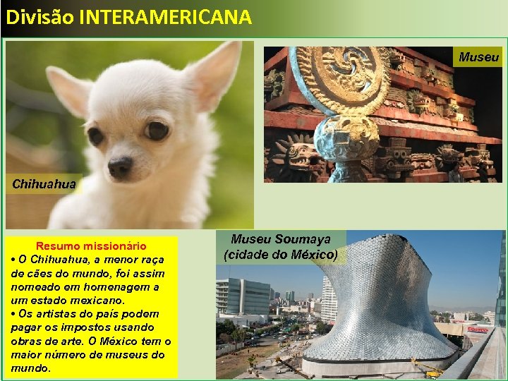 Divisão INTERAMERICANA Museu Chihuahua Resumo missionário • O Chihuahua, a menor raça de cães