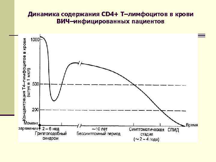 Динамика содержания CD 4+ T–лимфоцитов в крови ВИЧ–инфицированных пациентов 