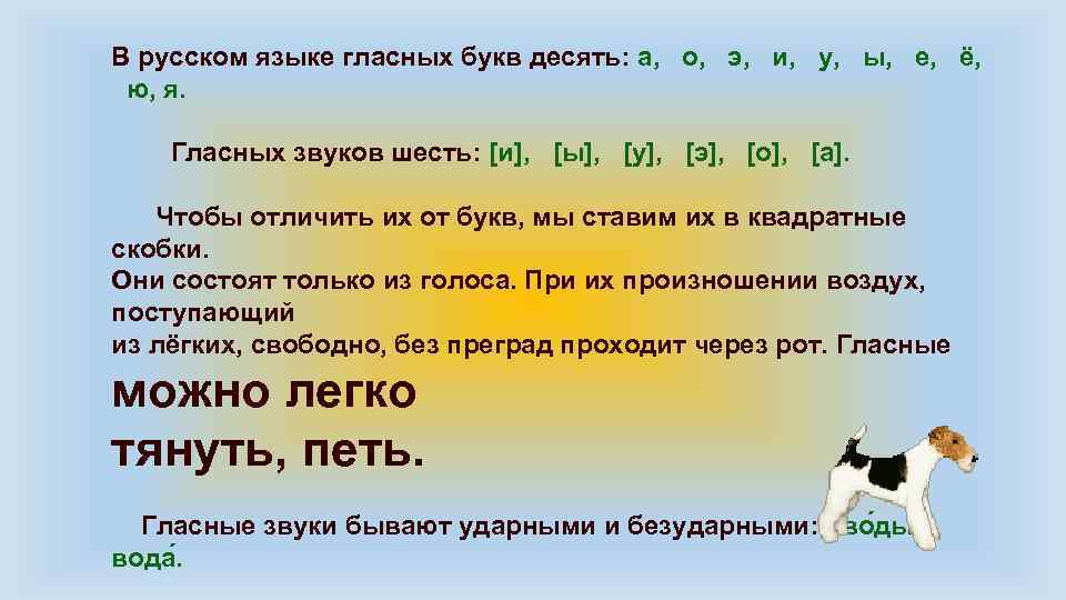 В русском языке гласных букв десять: а, о, э, и, у, ы, е, ё,