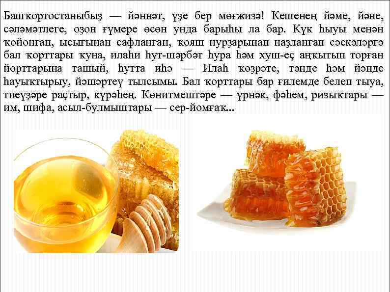 Башҡортостаныбыҙ — йәннәт, үҙе бер мөғжизә! Кешенең йәме, йәне, сәләмәтлеге, оҙон ғүмере өсөн унда