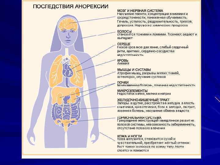 Расстройство пищевого поведения картинки