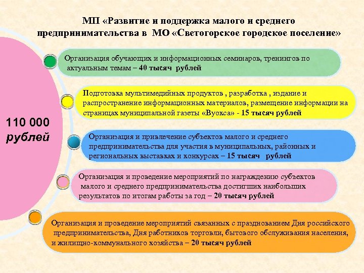 МП «Развитие и поддержка малого и среднего предпринимательства в МО «Светогорское городское поселение» Организация