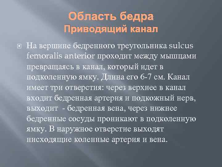 Область бедра Приводящий канал На вершине бедренного треугольника sulcus femoralis anterior проходит между мышцами