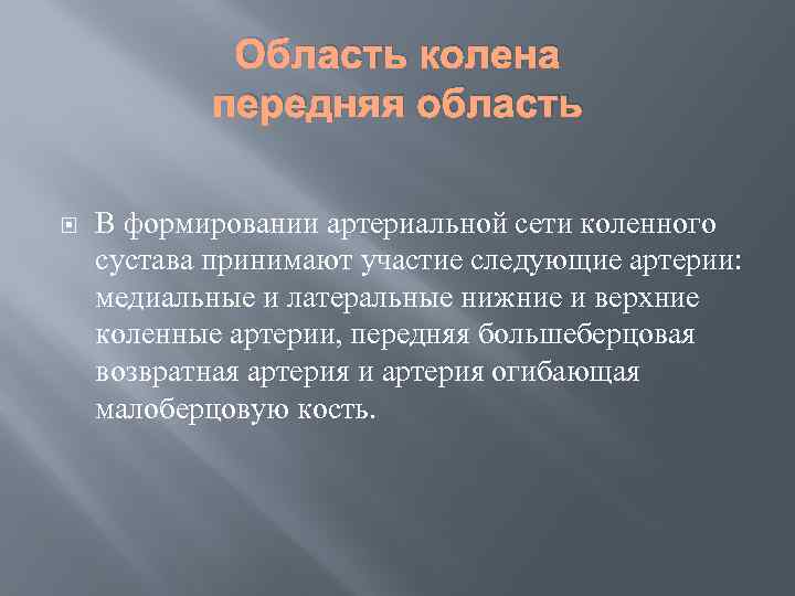 Область колена передняя область В формировании артериальной сети коленного сустава принимают участие следующие артерии: