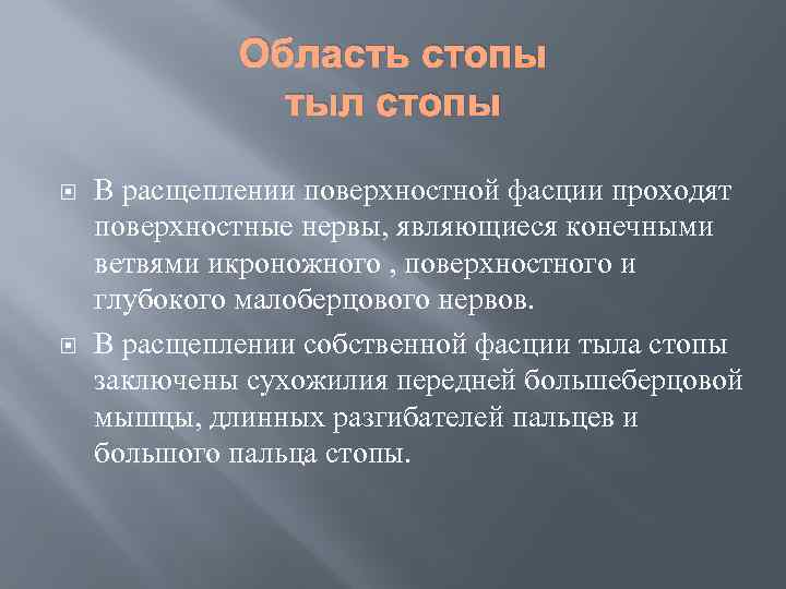 Область стопы тыл стопы В расщеплении поверхностной фасции проходят поверхностные нервы, являющиеся конечными ветвями