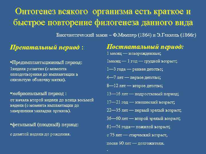 Онтогенез всякого организма есть краткое и быстрое повторение филогенеза данного вида Биогенетический закон –