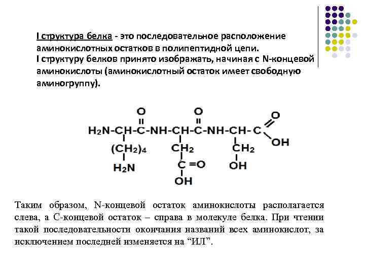 Белки являются полимерами состоящими из