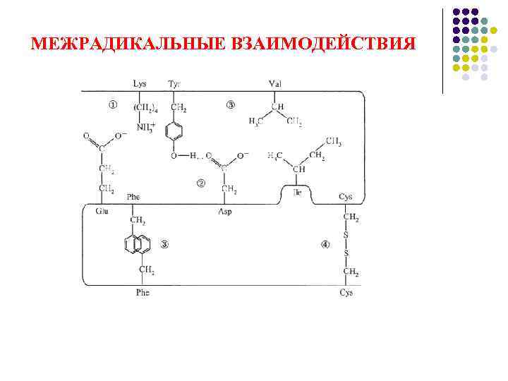 МЕЖРАДИКАЛЬНЫЕ ВЗАИМОДЕЙСТВИЯ 