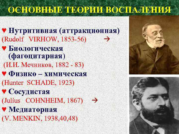 ОСНОВНЫЕ ТЕОРИИ ВОСПАЛЕНИЯ ♥ Нутритивная (аттракционная) (Rudolf VIRHOW, 1853 -56) ♥ Биологическая (фагоцитарная) (И.