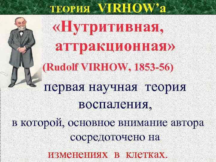 ТЕОРИЯ VIRHOW’а «Нутритивная, аттракционная» (Rudolf VIRHOW, 1853 -56) первая научная теория воспаления, в которой,